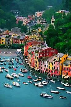 Harbor, Portofino, Italy